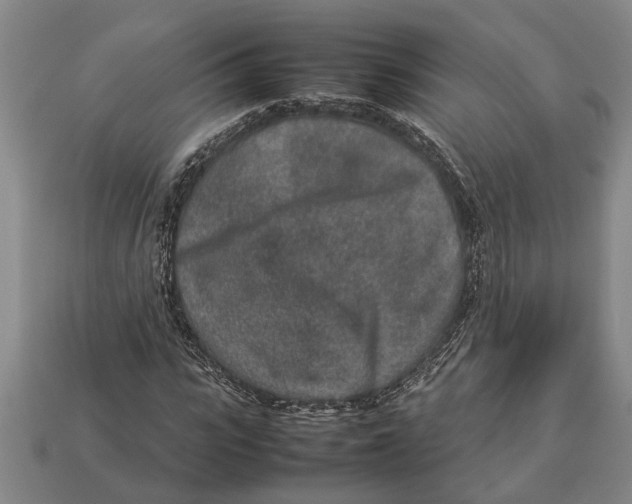 X0000113010919200909241348
