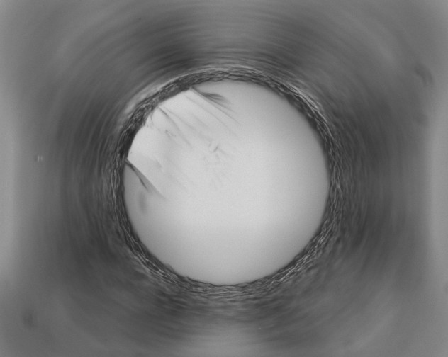 X0000113010920200909241348