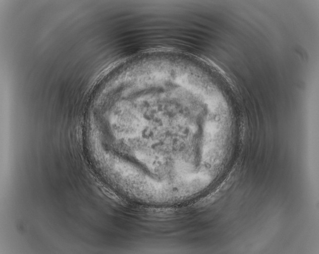 X0000113010921200909241348