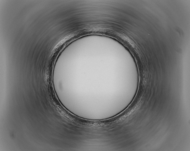 X0000113010922200909241348