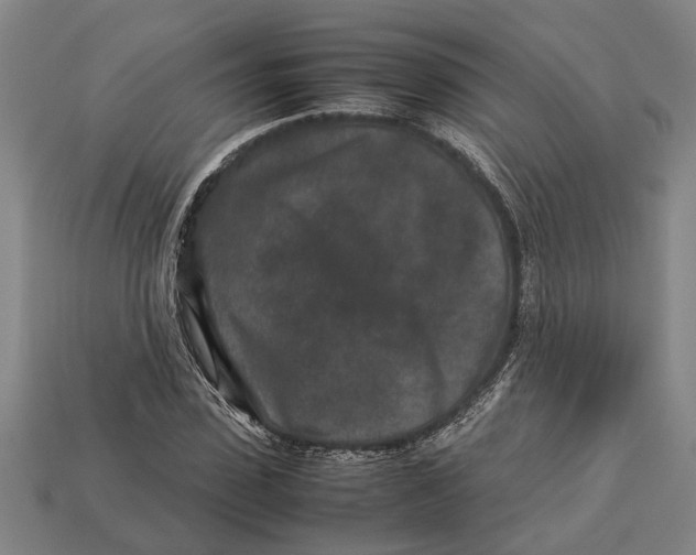 X0000113010923200909241348