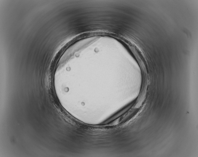 X0000113010925200909241349