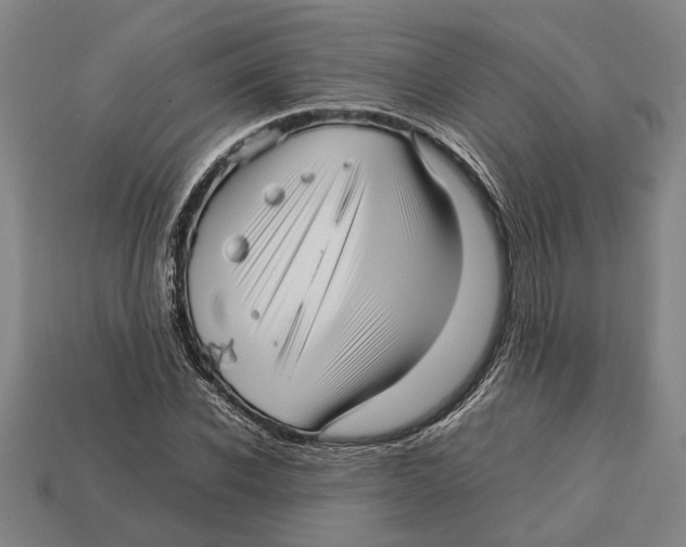 X0000113010926200909241349