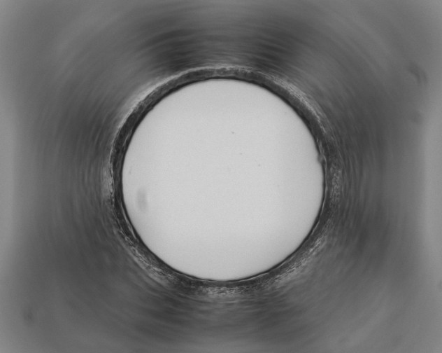 X0000113010927200909241349