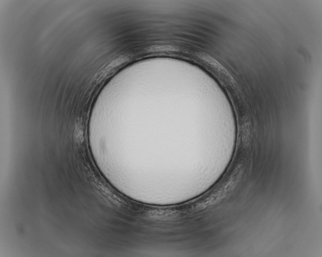 X0000113010929200909241349