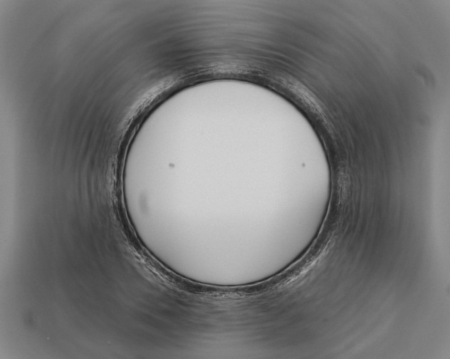X0000113010930200909241349