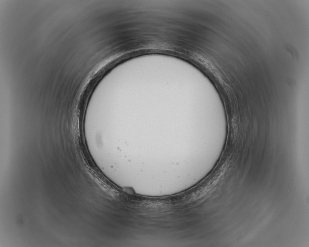 X0000113010931200909241349