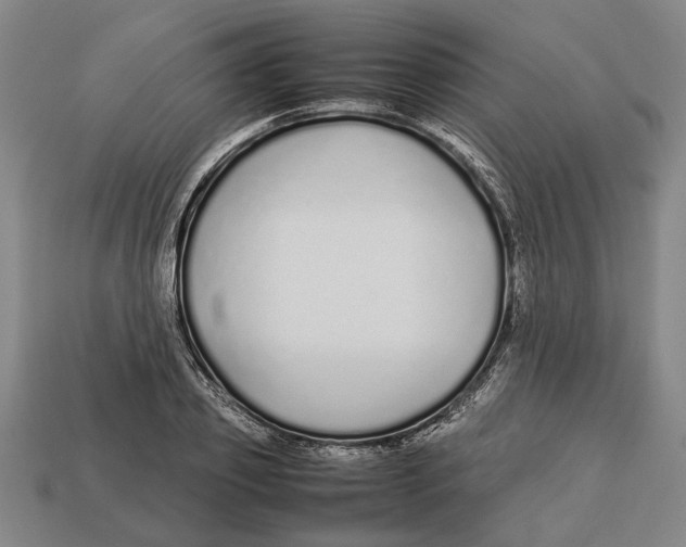 X0000113010933200909241349