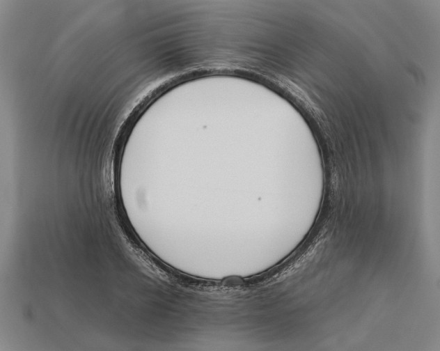 X0000113010934200909241349
