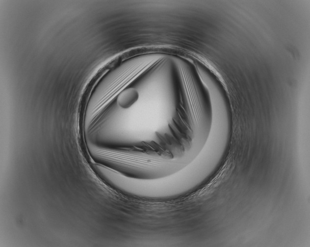 X0000113010935200909241349