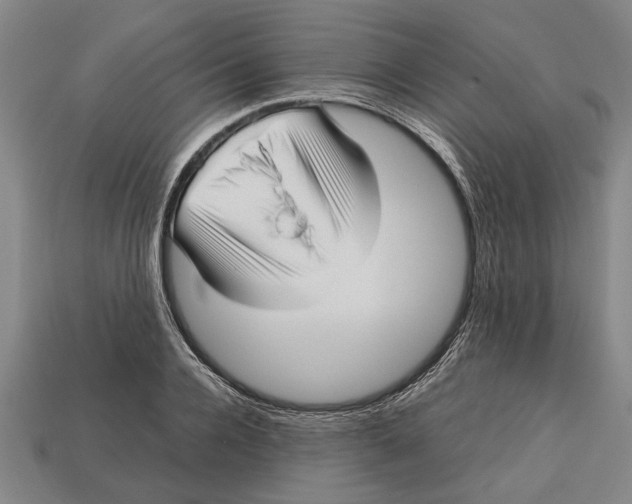 X0000113010936200909241349