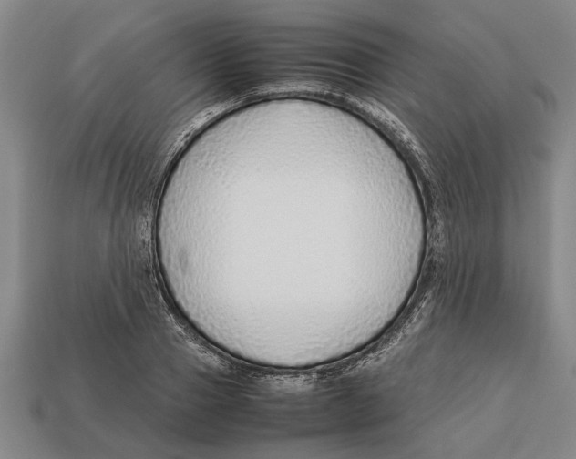 X0000113010937200909241349