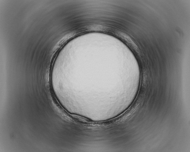 X0000113010938200909241349