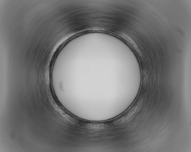 X0000113010939200909241349