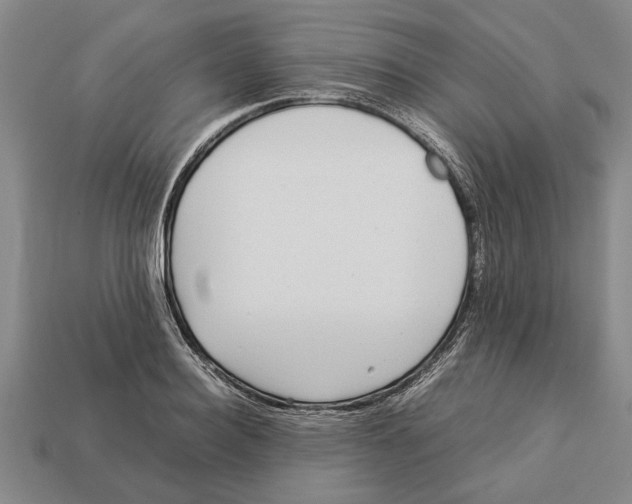 X0000113010940200909241349