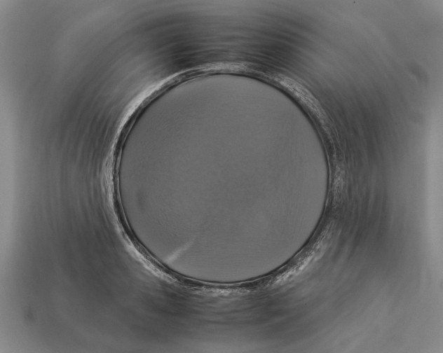 X0000113010941200909241349