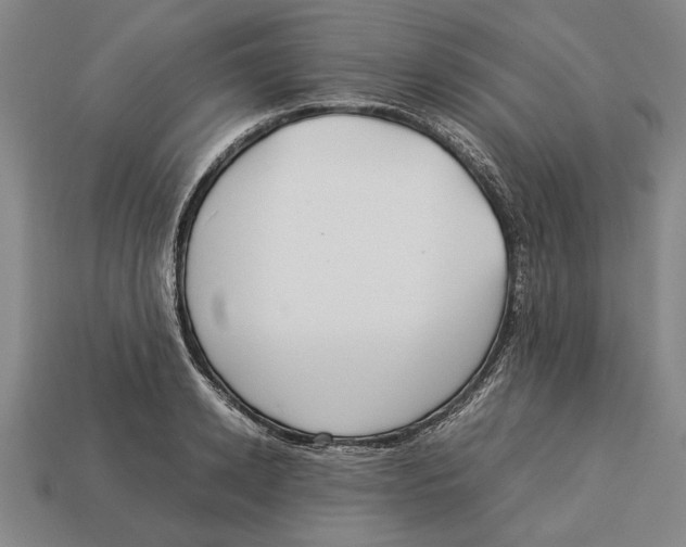 X0000113010942200909241349