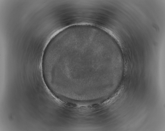 X0000113010943200909241349