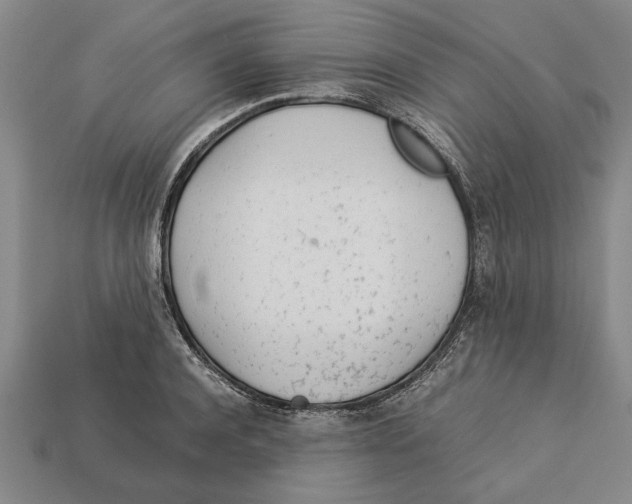 X0000113010944200909241349