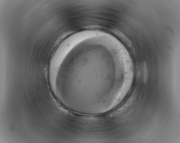X0000113010945200909241349