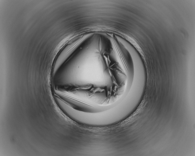 X0000113010946200909241349