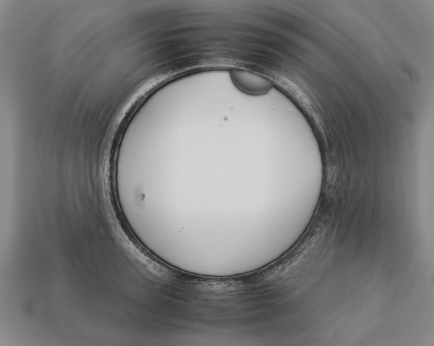 X0000113010947200909241349