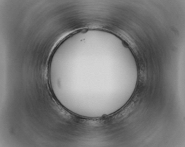 X0000113010948200909241349