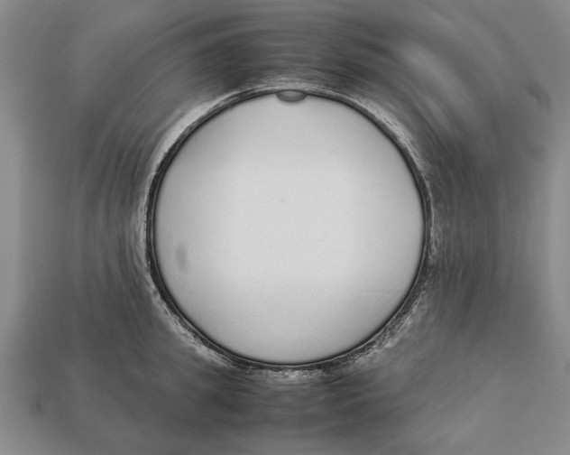 X0000113010949200909241349