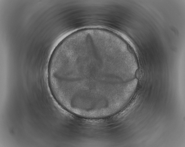 X0000113010951200909241349