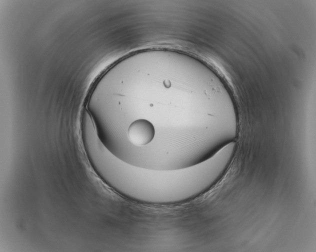 X0000113010952200909241349