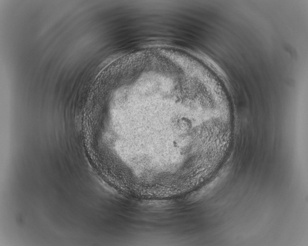 X0000113010953200909241349