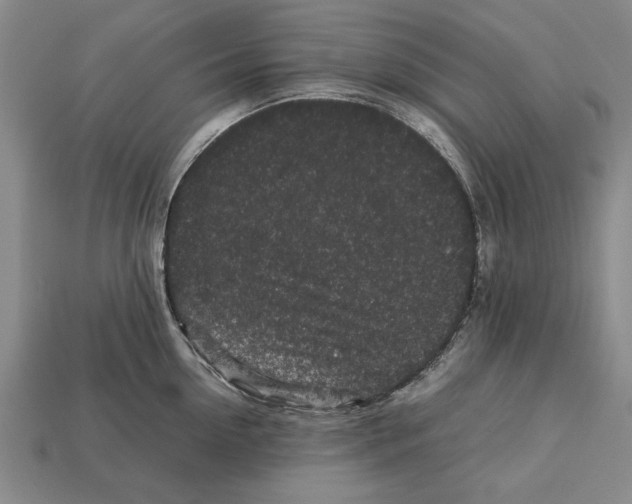 X0000113010954200909241349
