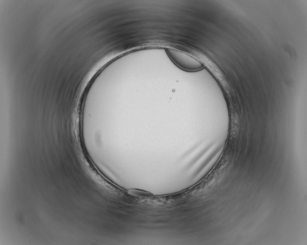 X0000113010955200909241349