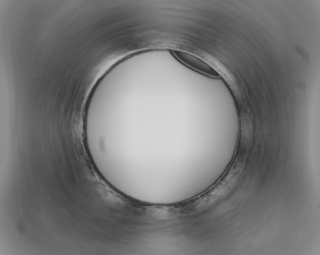 X0000113010956200909241349