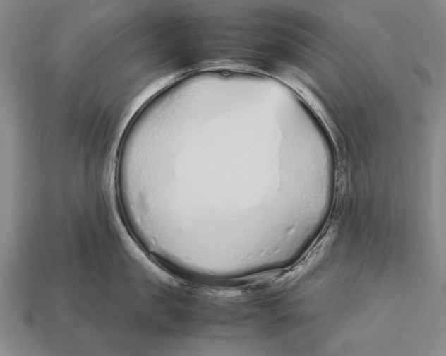 X0000113010957200909241349