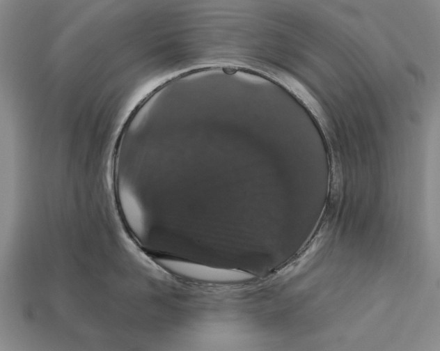 X0000113010958200909241349