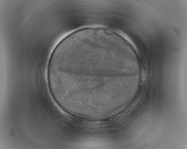 X0000113010959200909241349