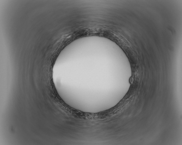 X0000113010961200909241348