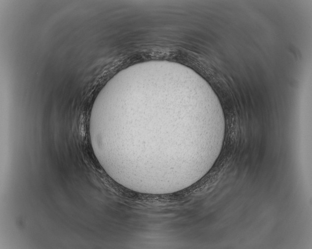 X0000113010962200909241348