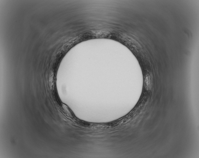 X0000113010963200909241348