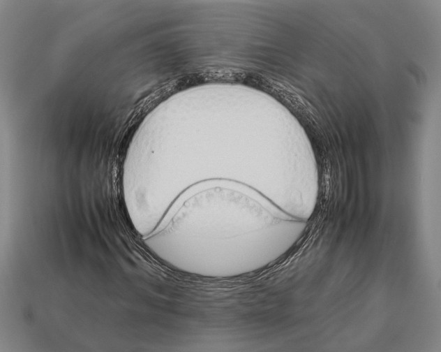 X0000113010964200909241348