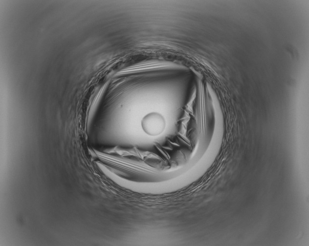 X0000113010965200909241348