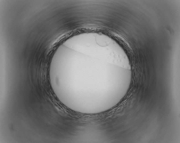 X0000113010968200909241348
