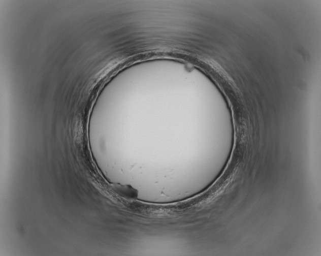 X0000113010969200909241348