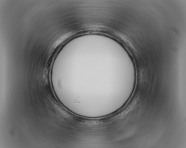 X0000113010970200909241348