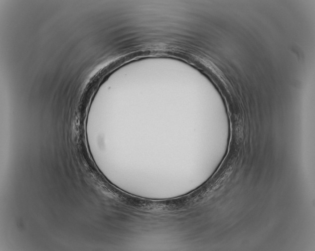 X0000113010971200909241348