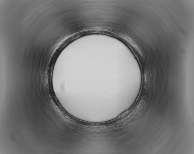 X0000113010972200909241348