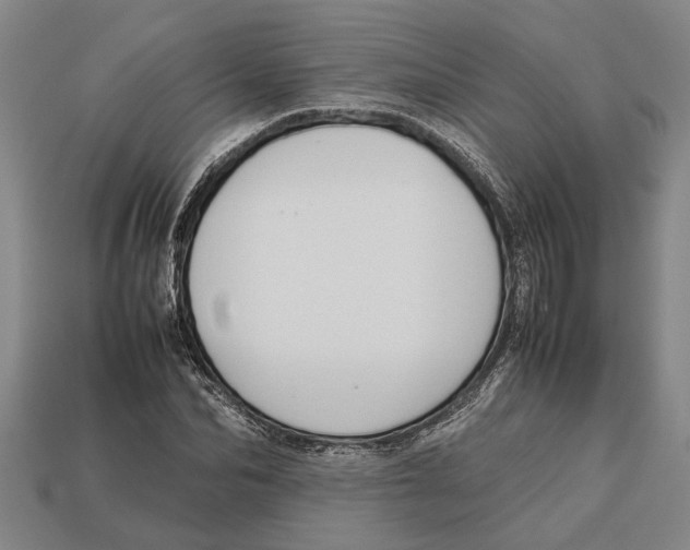 X0000113010974200909241348