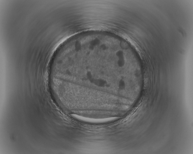 X0000113010975200909241348