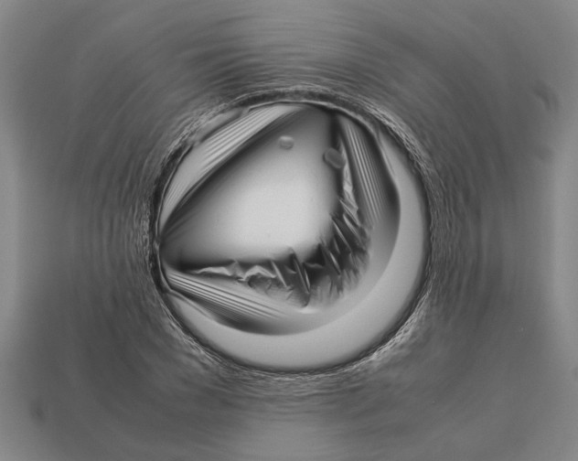 X0000113010977200909241348